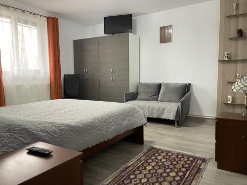 um quarto com uma cama, um sofá e uma televisão em Casa Balcescu - INCHIRIERE INTEGRALA em Măngureni