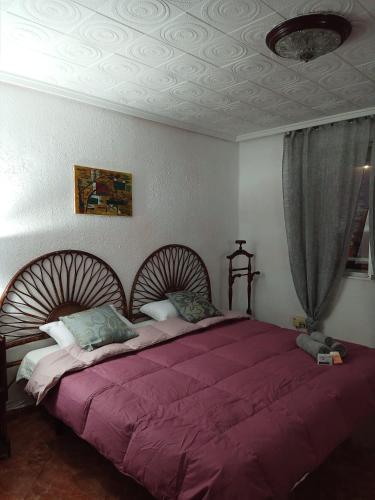 1 dormitorio con 1 cama grande con sábanas moradas en Tourist room, en Valencia