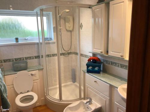 e bagno con doccia, servizi igienici e lavandino. di Penzance- West Cornwall seaside getaway a Penzance