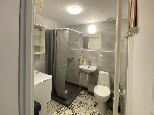 Vonios kambarys apgyvendinimo įstaigoje Apartament Oliwski Las