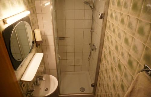a bathroom with a shower and a sink and a toilet at Hof zur Steinwänd in Micheldorf in Oberösterreich