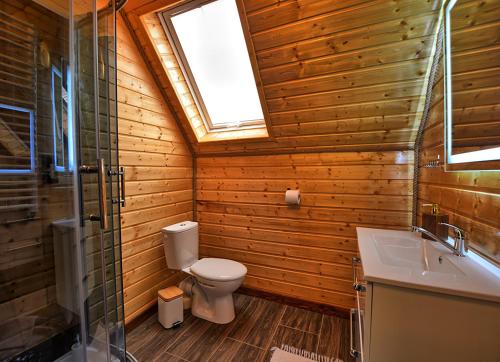 een badkamer met een toilet, een wastafel en een raam bij Stacja Żubracze in Żubracze