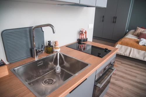 una cucina con lavandino e una cucina con letto di Cozy studio by the city centre a Reykjavik