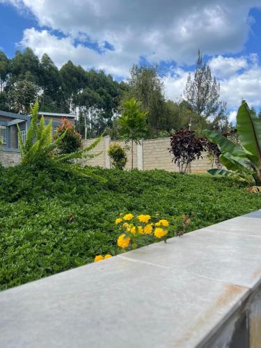 Zoe Homes 1br and 2br Apartment Greypoint 406にある庭
