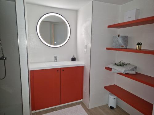 塞萊特的住宿－Gîte de l’Etabli，一间带水槽和镜子的浴室