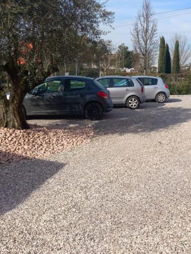 a row of parked cars in a parking lot at RB Bed & Breakfast in Gaiba