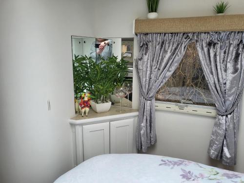 a bedroom with a window with a plant and a mirror at Glamping with Llamas in Wisbech