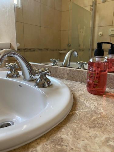 a bathroom sink with a soap bottle on a counter at FA Temporarios 3 - centro con garage in Corrientes
