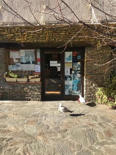a bird standing in front of a brick building at Hébergements à La Rive, Accueil ouvert tous les jours jusqu'à 20h00 dernier délai, depuis 30 ans ! Réserver ici svp ! Merci ! Aucun règlement à distance accepté, Paiement par CB, Espèces, Chèque ou Chèques-Vacances impérativement à la remise des clefs ! in Amélie-les-Bains-Palalda