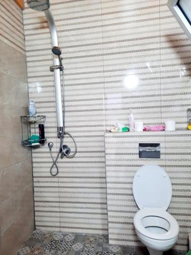 een badkamer met een toilet en een douche bij מול חרמון in Majdal Shams