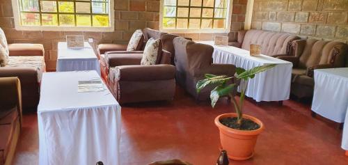 une chambre avec des tables, des canapés et une plante en pot dans l'établissement Homebase gardens, à Nakuru