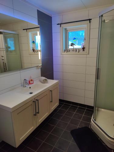 a bathroom with a sink and a shower and a mirror at Apartament Sandstrand in Tovik