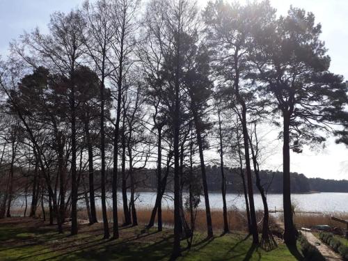 Haus Wilma Grüne Idylle im Wald direkt am See durante o inverno