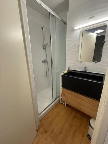 une salle de bain avec une douche, un lavabo et un miroir dans l'établissement Sanary charmant appartement bord de mer, à Sanary-sur-Mer