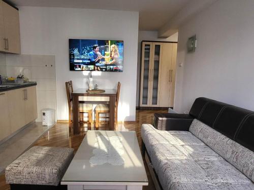 a living room with a couch and a table at OPTIMUM 2 - One bedroom apartment in Zenica