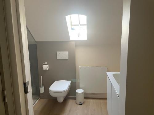 La salle de bains est pourvue de toilettes, d'un lavabo et d'une lucarne. dans l'établissement Velogement 't Moltje, à Heuvelland