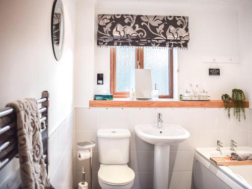 a bathroom with a toilet and a sink and a window at Trelaw in Ochiltree