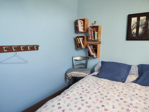 sypialnia z łóżkiem, krzesłem i książkami w obiekcie chambre chez l'habitant aux Basses Besnardières w mieście Pontvallain