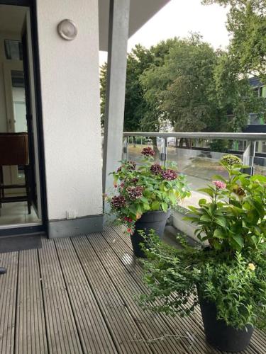 Zahrada ubytování Ferienwohnung in der Nähe von Köln