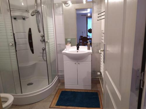 een badkamer met een wastafel, een douche en een toilet bij Appartement dans un chalet de montagne in Guillestre