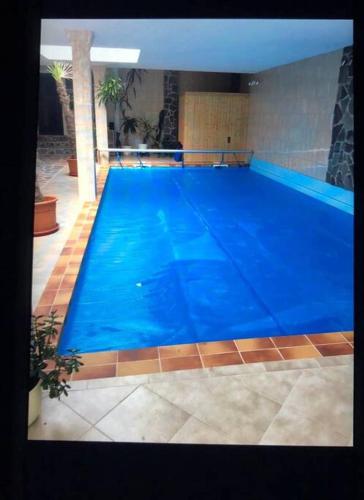 Bazén v ubytování Penthouse Bernd im Waldschlösschen direkt am See nebo v jeho okolí