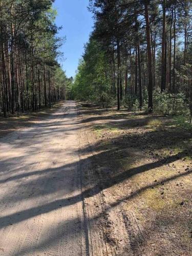 Příroda nedaleko apartmánu