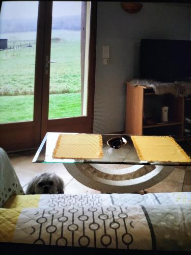 a dog laying on the floor next to a table at GITE LE MONTENEY in Pont-Audemer