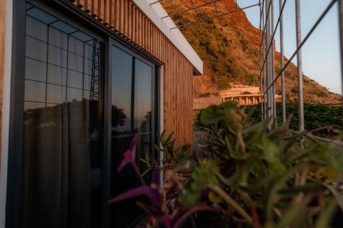 a plant in front of a building with a mountain in the background at CASA DA PITANGA in Jardim do Mar