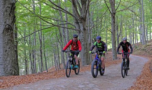 three people riding bikes on a trail in the woods at La Locanda del Moro in Pieve Fosciana