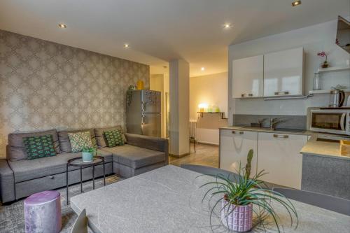 un salon avec un canapé et une cuisine dans l'établissement Charmant T3 - centre ville - proche du lac, à Annecy