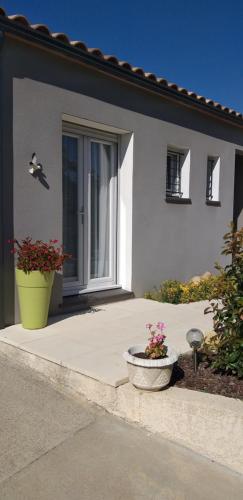 a front door of a house with two potted plants at Chez Reinette in Capendu