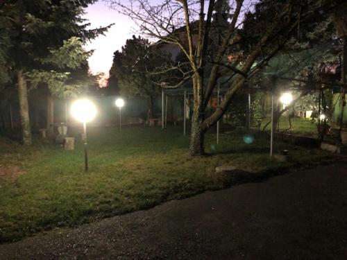 a park at night with lights in the grass at Casa Stella Malpensa in Cassano Magnago