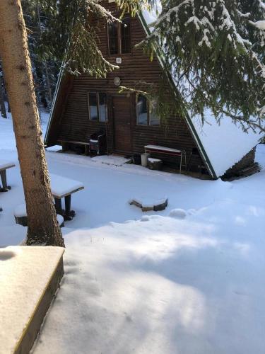 a snow covered yard in front of a log cabin at Chatka v lese in Ružomberok