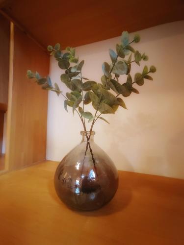 Apartment Wohnwiese – Photos 2