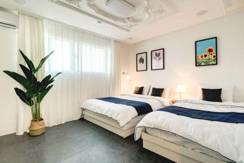 a bedroom with two beds and a potted plant at Hongdae 4bed room House in Seoul