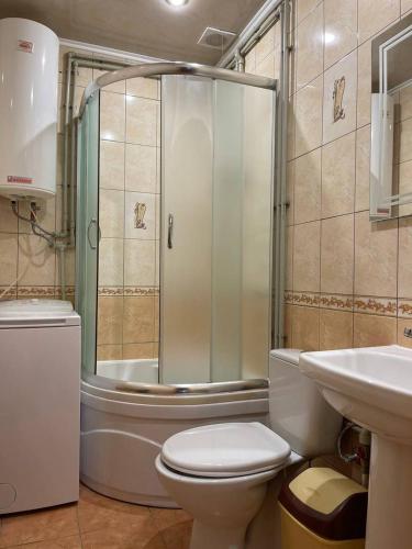 a bathroom with a shower and a toilet and a sink at Садиба Анастасія in Sheshory