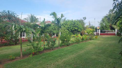 un patio con una fila de plantas y árboles en JEYs Place, en Nilaveli