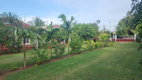 a yard with a row of plants and trees at JEYs Place in Nilaveli