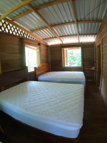 SierpeにあるFinca Encanto Eco Lodgeの窓が2つある木造の部屋にベッドが2つある
