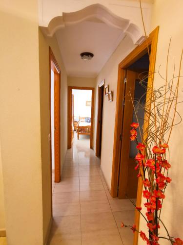 Centro cerca playa