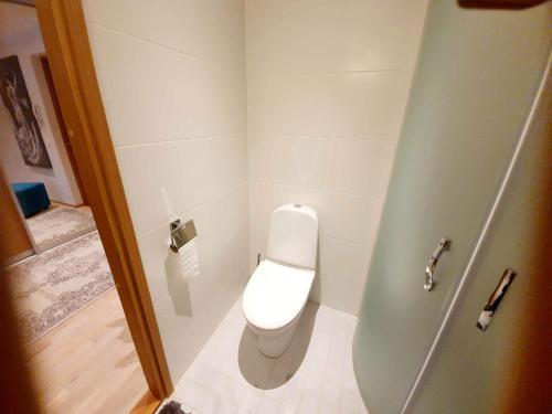 un piccolo bagno con servizi igienici e doccia di Kasekodu apartament a Laagri