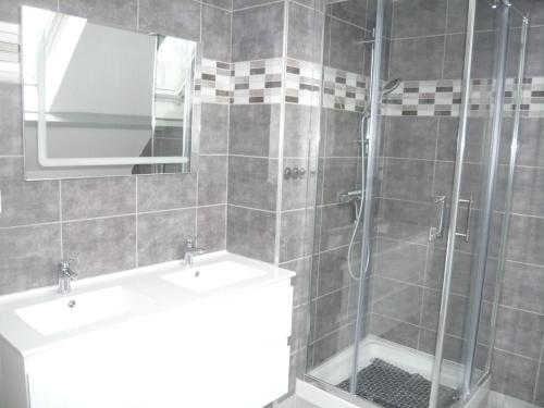 a bathroom with a shower with a sink and a mirror at Gite de la Vallée de Mai 