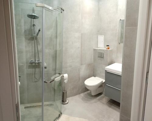 a bathroom with a shower and a toilet at Apartamenty przy zamku in Pasłęk