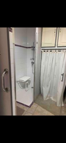 La salle de bains est pourvue d'une douche et de toilettes. dans l'établissement Le Kerioubet - B&B au cœur du Pays d’Auge, à Saint-Martin-de-la-Lieue