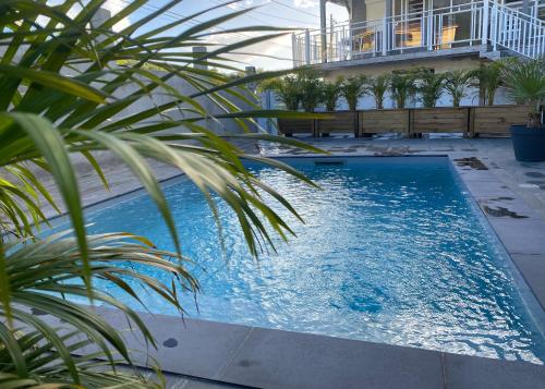 a swimming pool with a palm tree in front of a building at La buena vida in Pointe-Noire