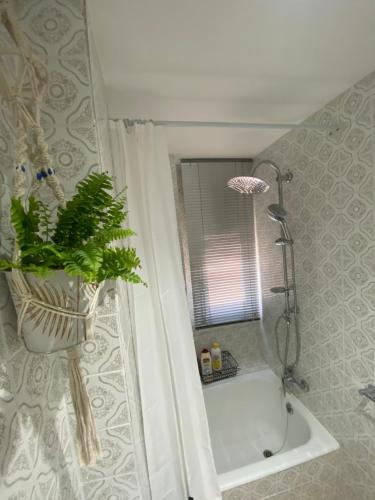 ein Badezimmer mit einer Dusche und einer Badewanne mit einer Pflanze in der Unterkunft Apartamento Cebra in Saragossa