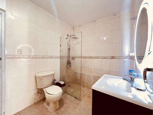 uma casa de banho com um WC, um chuveiro e um lavatório. em Bluemare EcoHotel Frente a la playa Ensendada em Punta Rucia