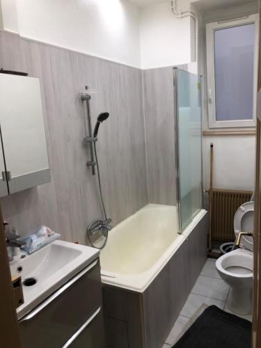 Photo de la galerie de l'établissement Grand 4p Strasbourg orangerie 7 personnes proche d Allemagne, à Strasbourg