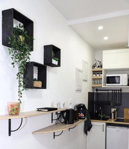 une cuisine avec un comptoir orné de plantes sur le mur dans l'établissement Le Cloudy - @Kreativehome_, à Rouen