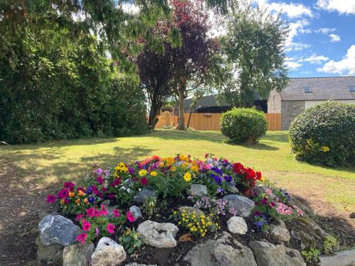 a flower bed with colorful flowers in a yard at Knockreagh Farm Cottages Mountain or Cedar views in Kilkenny